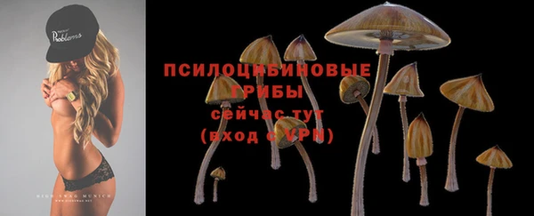 мескалин Аркадак