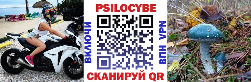 Галлюциногенные грибы Psilocybe  Похвистнево 